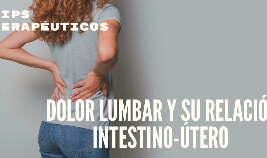 Dolor lumbar y su relación intestino-útero